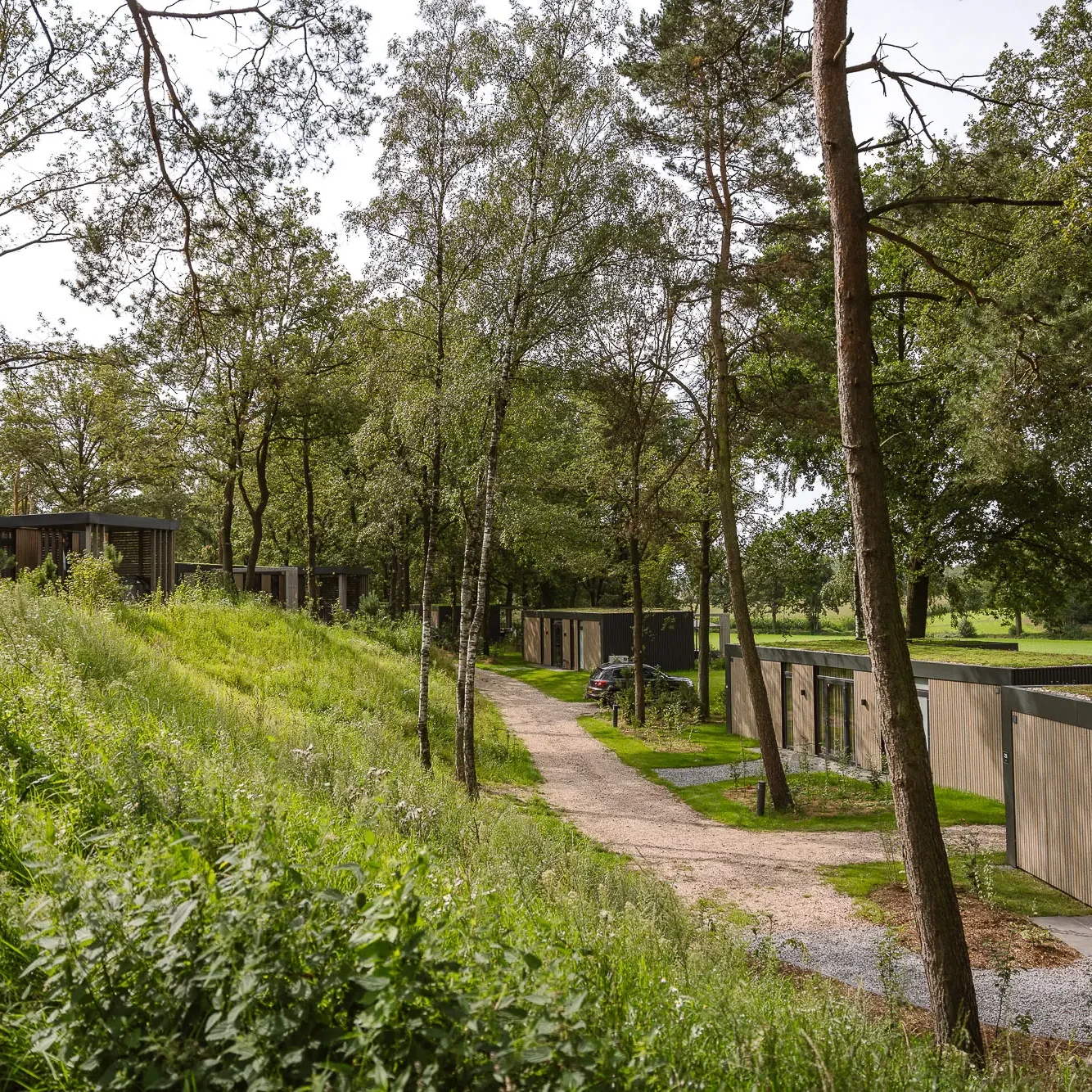 Moderne lodges met groene daken tussen bomen bij Zicht op Twente in Markelo