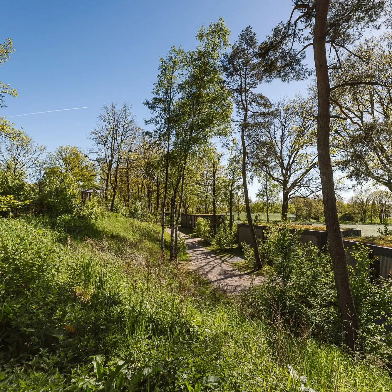 Natuurlijk wandelpad tussen weelderige begroeiing en lodges met groene daken bij Zicht op Twente Markelo