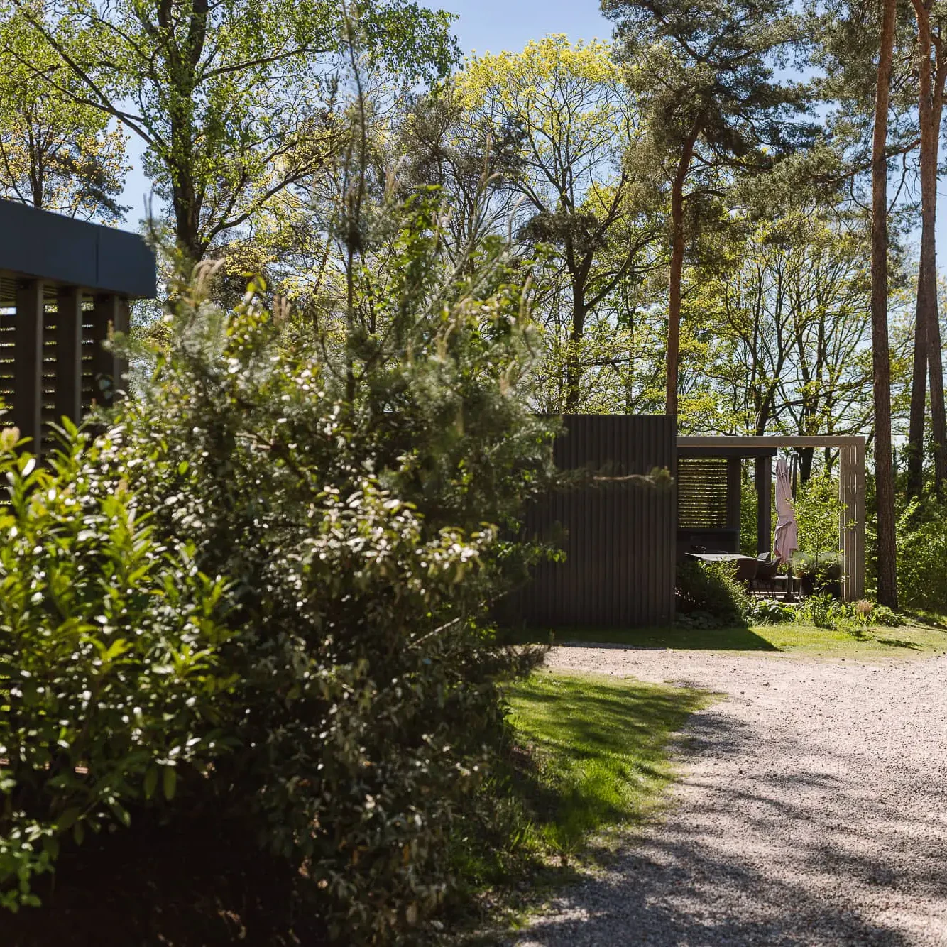 Grindpad tussen weelderige beplanting naar luxe lodges in bosrijke omgeving Markelo
