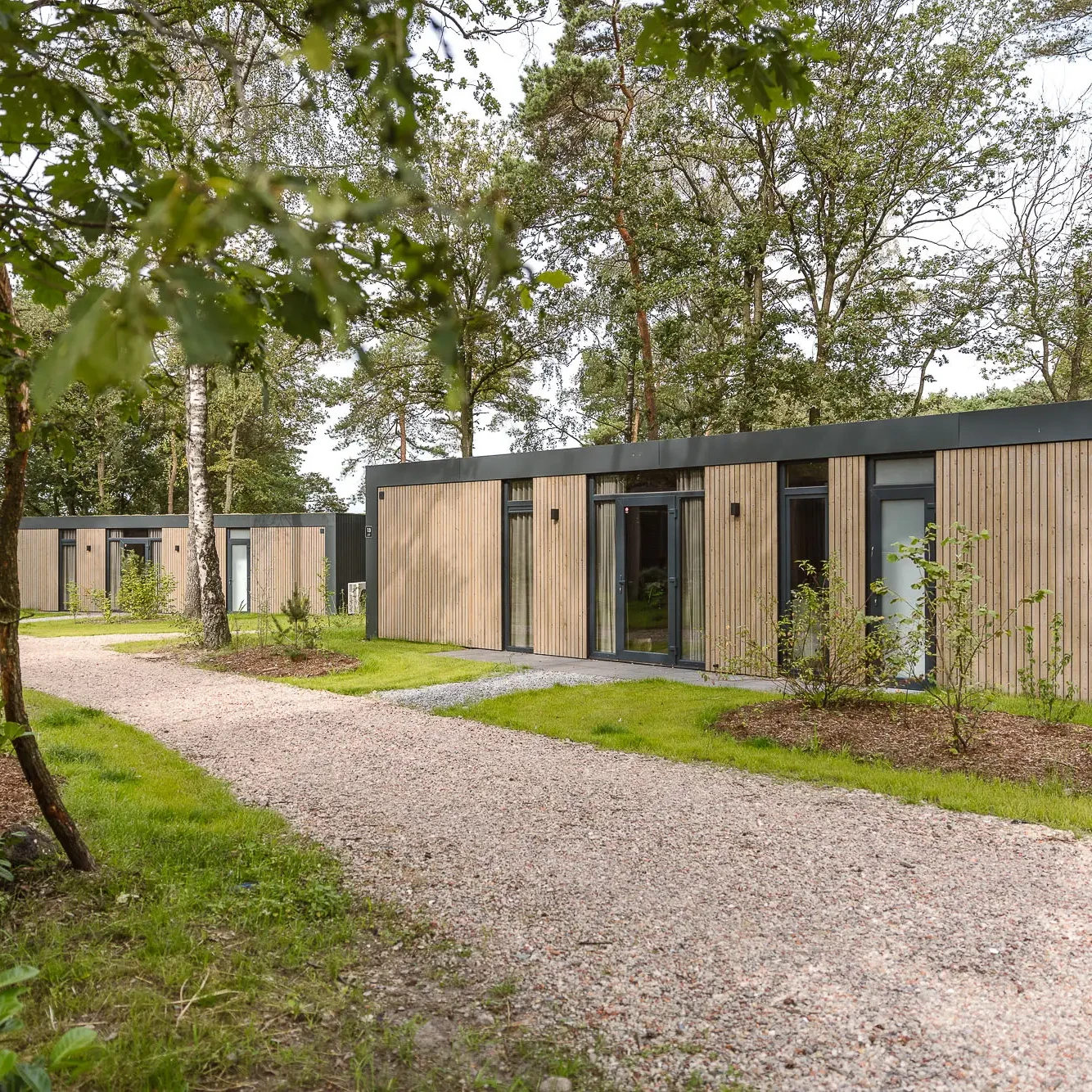 Moderne houten lodges van Zicht op Twente in bosrijke omgeving bij Markelo
